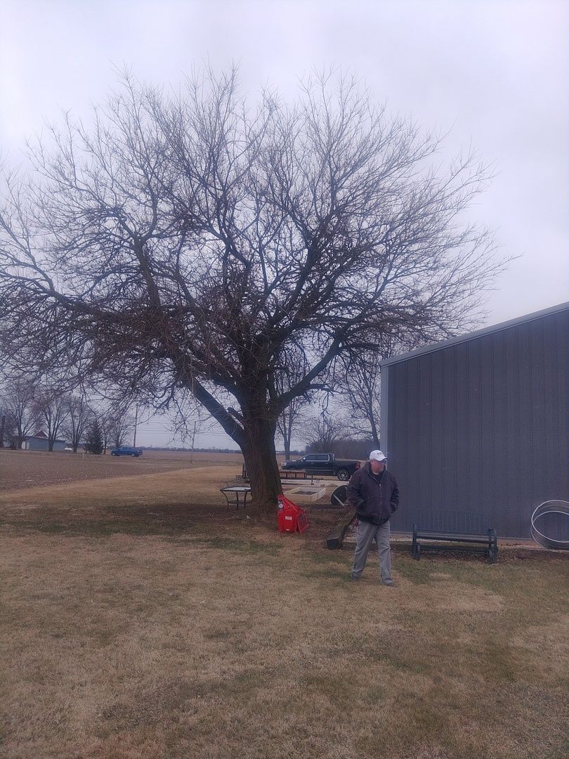 A man is standing in front of a tree in a field.