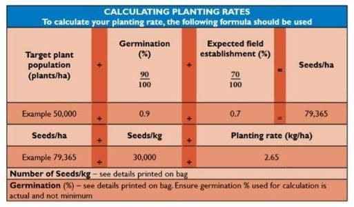 Orange planting-rate formula chart with example crop population, germination, and seed rate values