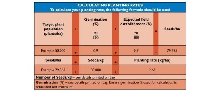 Table on calculating planting rates with example values for seeds and seedling rows