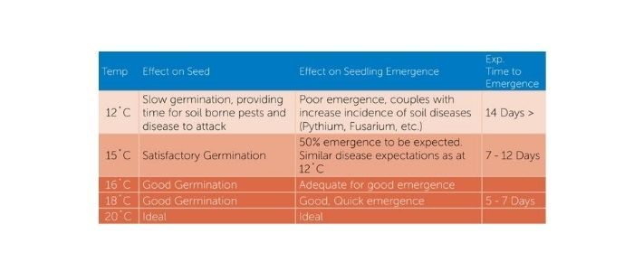 Blue-and-orange effects table with rows on illumination effects, substance degradation, and cancers.