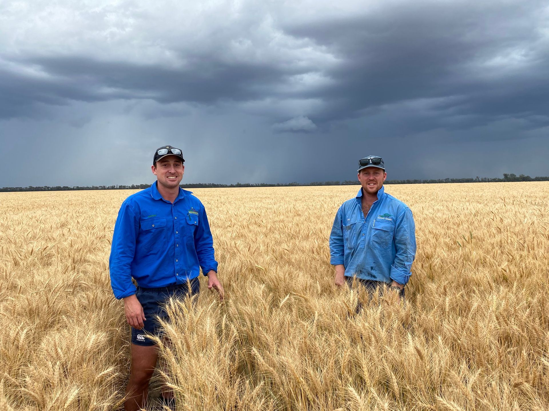 Two people in blue jackets standing in a wheat field under dark storm clouds