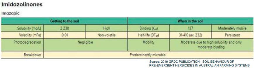 Blue-green medical chart titled “Imidazoles” with a table of drugs, uses, and side effects.