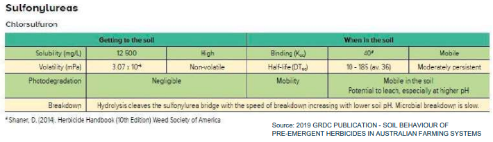 Sulfonylureas comparison table with green header row and rows for tolbutamide, chlorpropamide, tolazamide, and glipizide.