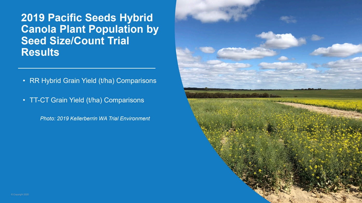 2019 Pacific Seeds hybrid canola plant population by seed size/cost trial results slide with canola field photo