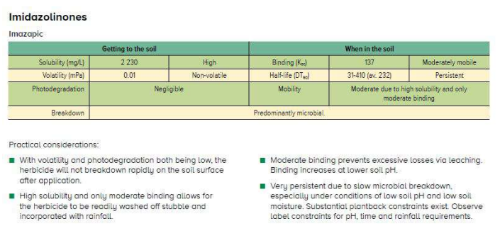 Slide with green table comparing traditional vs systematic search strategies and bullet-pointed practice considerations.