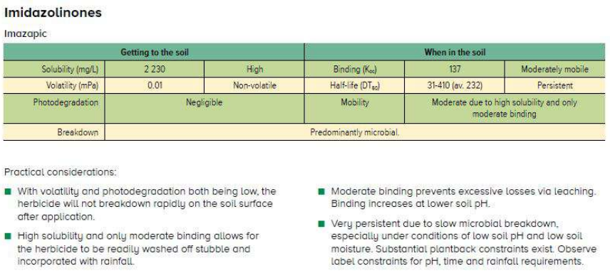 Green “Immunoglobulins” table with headings and bullet points on production, binding, and functions