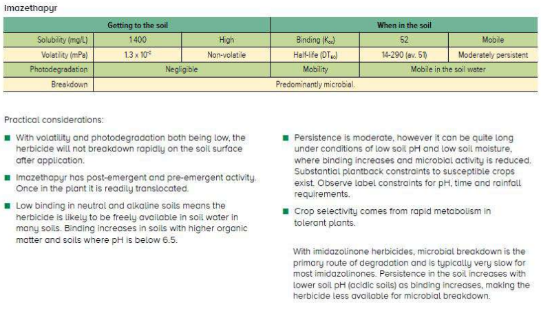 Comparison table of getting vs losing the soul, with green and orange sections and bullet points