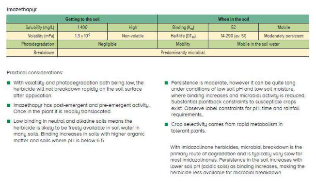 Accessibility matrix comparing chat tools, with green rating bars and bullet-point feature notes