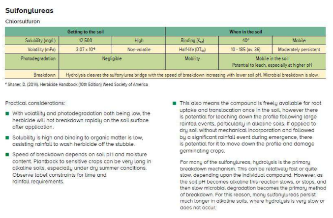 Sulfurylureas medication comparison chart with green table and safety notes on the right