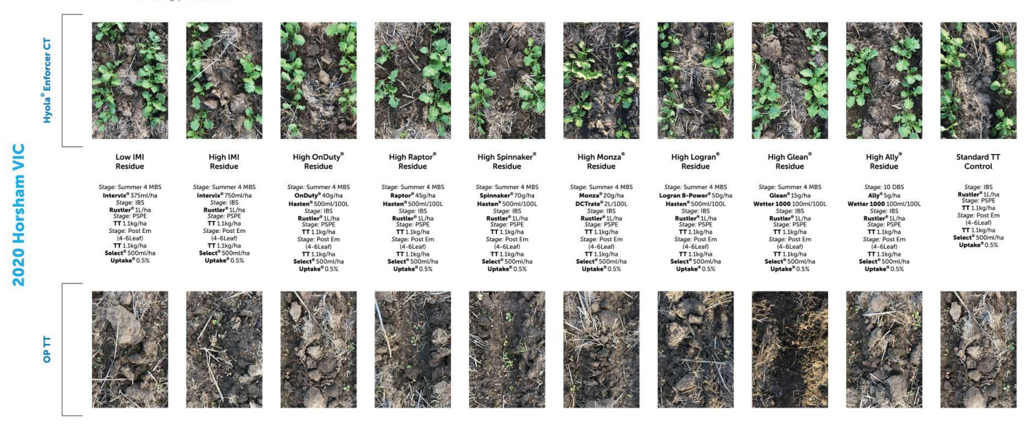 Two rows of small sample images showing green and brown terrain comparisons with labels underneath