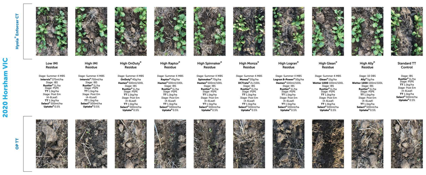 Side-by-side comparison of vegetation map panels with labels and two rows of colored raster thumbnails
