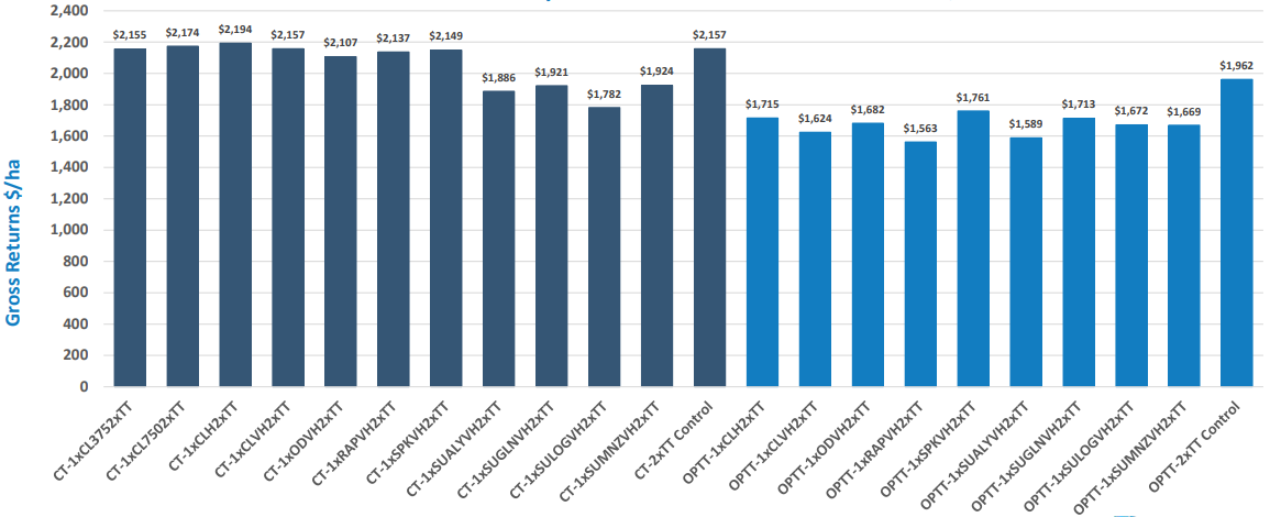 Blue and dark-blue bar chart comparing multiple categories with values labeled above each bar.