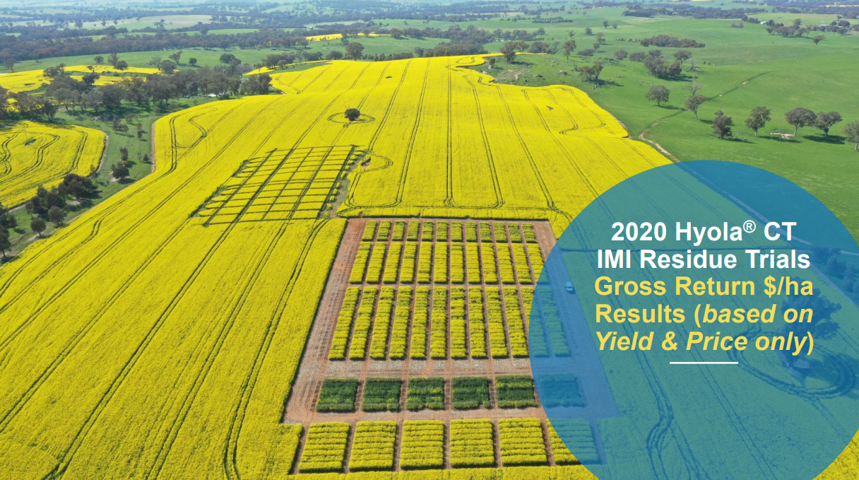 Aerial view of yellow crop trial plots in a field, labeled 2020 hybrid corn IMI residue trials.