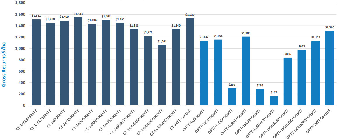 Bar chart with dark and light blue bars comparing values across categories, with labels along the x-axis.