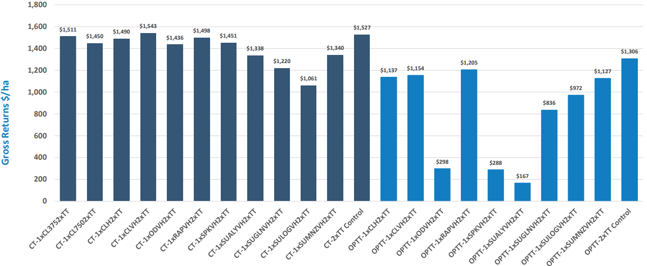 Blue bar chart with multiple categories and values labeled above each bar.