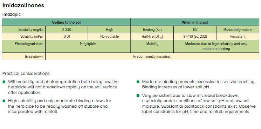 Green infographic table comparing imidazolidinones, uses, side effects, and precautions with bullet points.