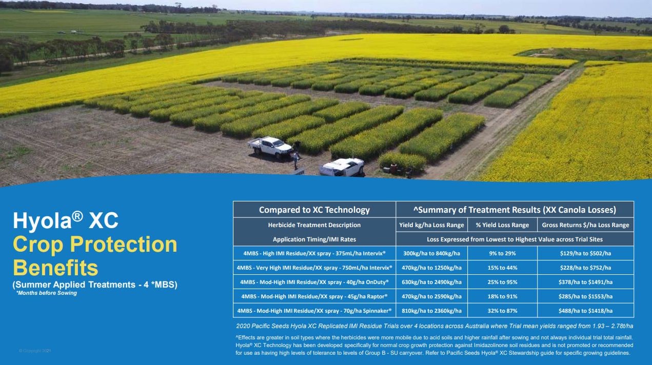 Hyola XC crop protection benefits over aerial view of yellow and green agricultural fields