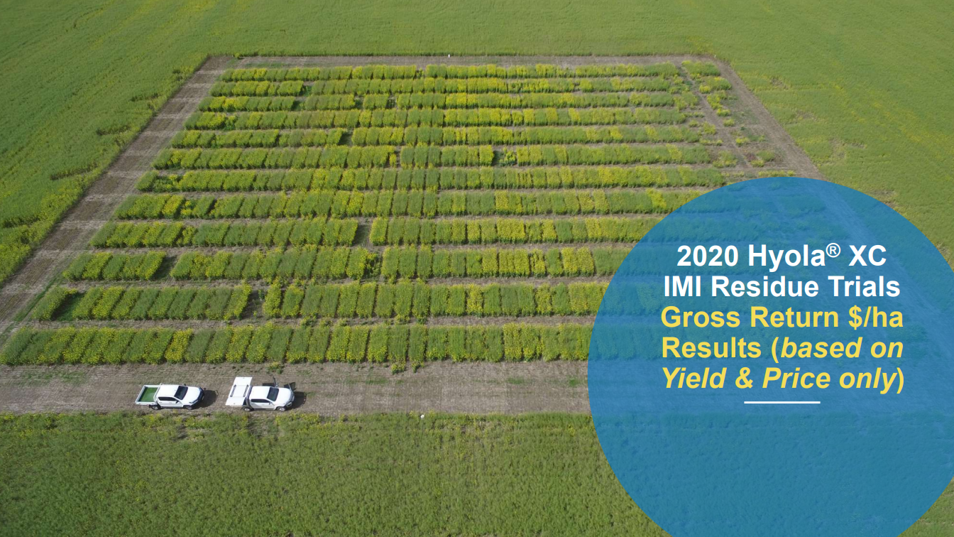 Drone view of a rice field trial plot with rows of green crops and text overlay about yield and price