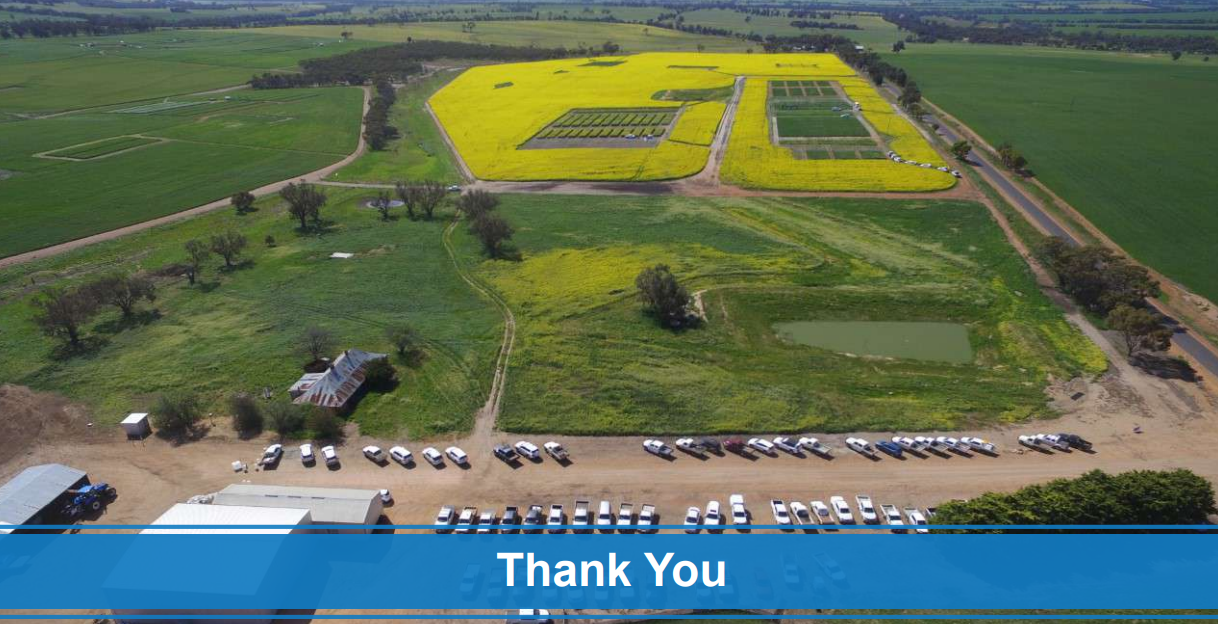 Aerial view of a green field with bright yellow flower patterns and a blue “Thank You” banner at the bottom.
