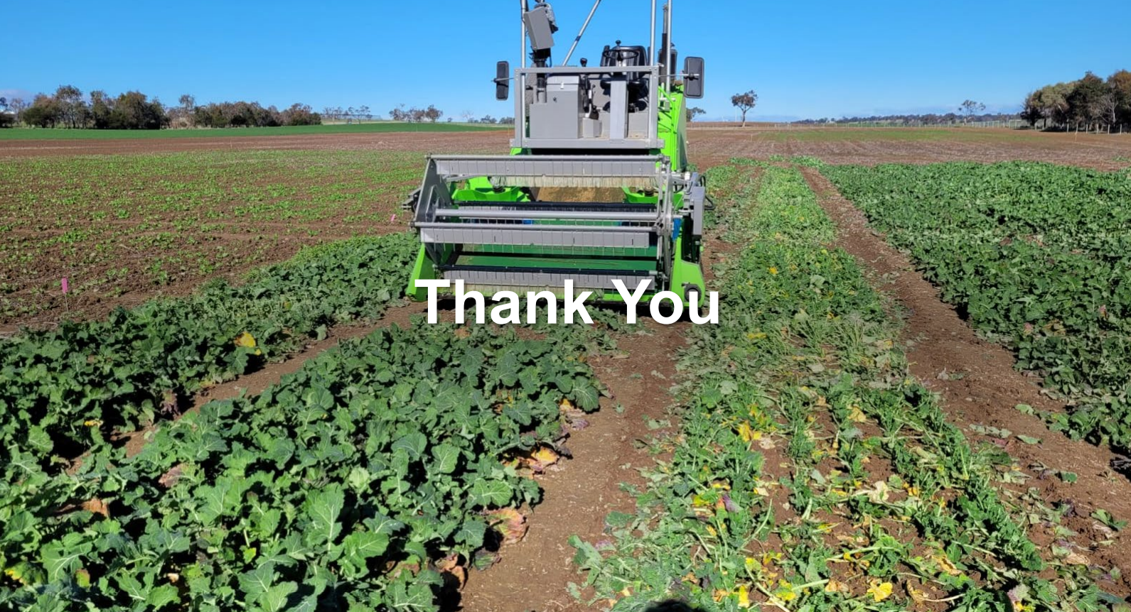Agricultural robot harvesting crops in a field, with “Thank You” text overlaid in the center.