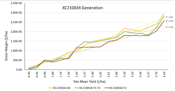 Line chart titled “XC210304 Generation” with three rising colored trend lines over time.
