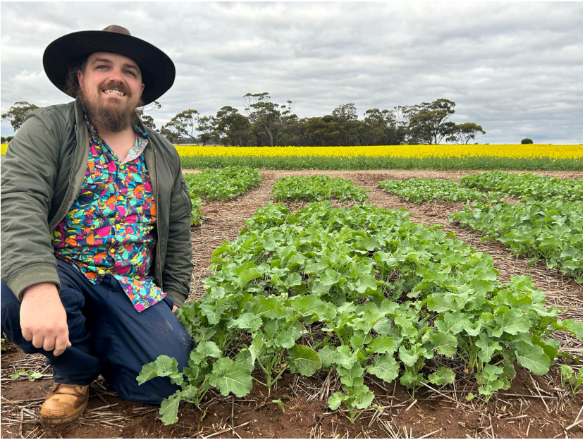 Person kneels beside leafy crops in a field with yellow flowers and cloudy sky behind them