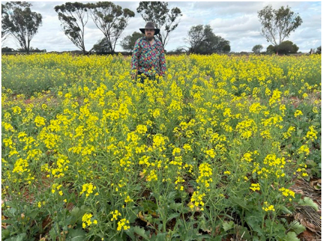 Person standing in a field of yellow flowers under a cloudy sky