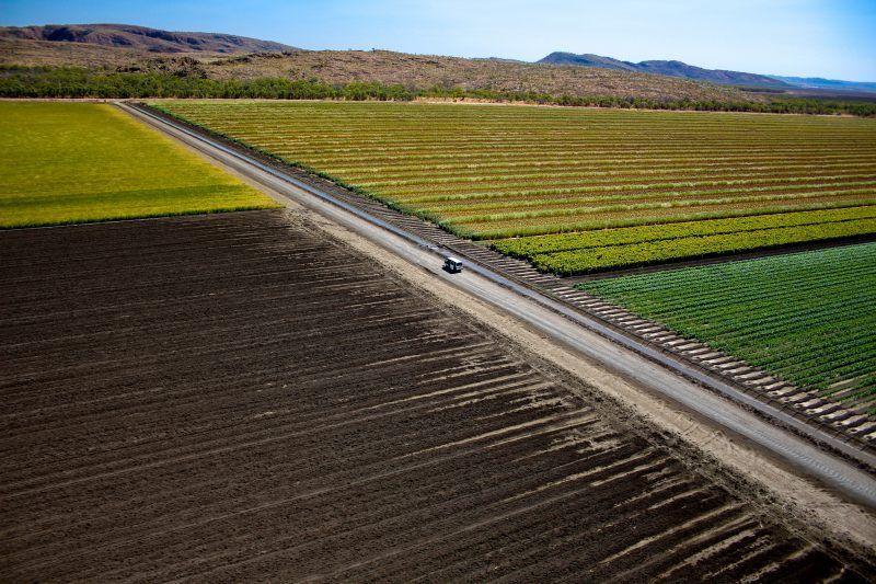Aerial view of a dirt road dividing colorful farmland with a small vehicle driving through fields.