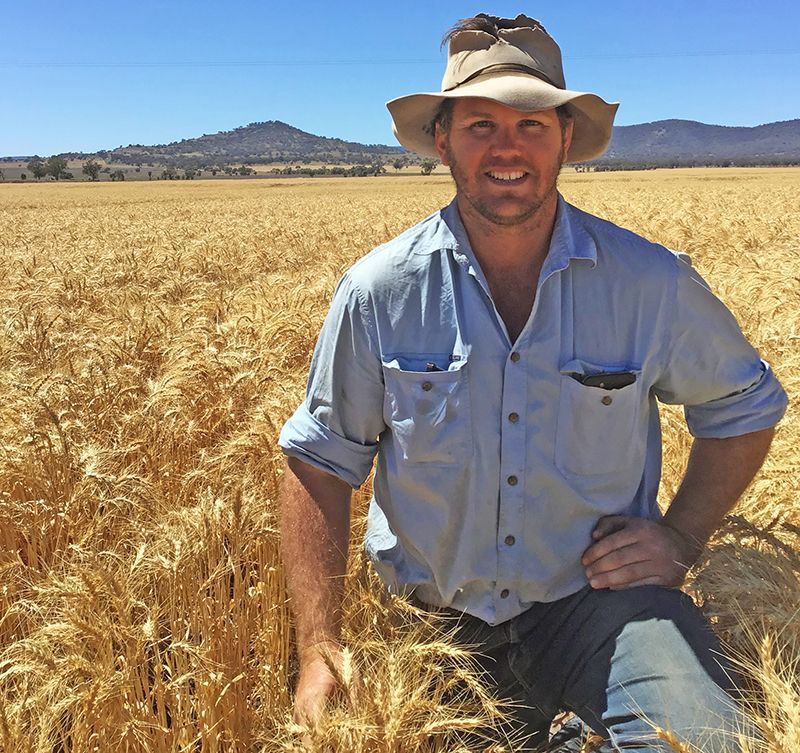 Man standing in a wheat field wearing a hat and light blue shirt, with mountains in the background.