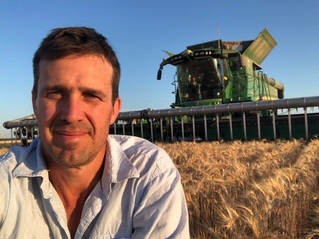 Man standing in a wheat field with a green combine harvester in the background under a clear blue sky