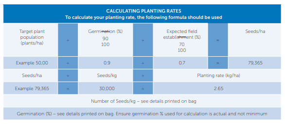 Blue-and-white table of recycling rates by plastic type and target dates