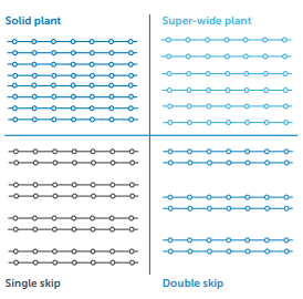 Diagram comparing solid plant vs super-wide plant and single skip vs double skip line patterns.