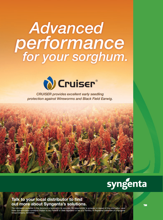 Syngenta Cruiser insecticide ad with orange-green field of sorghum and “Advanced performance for your sorghum” text