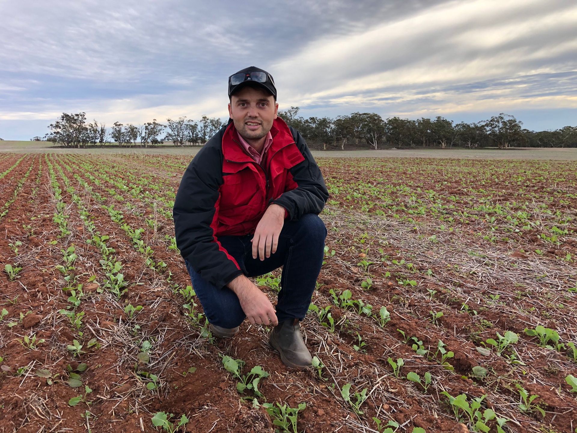 Person crouching in a field of young crops under a cloudy sky, wearing a red jacket and black cap.