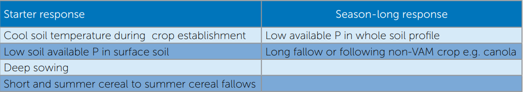 Blurry blue-and-white table with several rows of text and numbers in two columns.