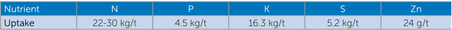 Blue weight chart table showing sizes in kg: Upsilon, N, S, M, L, and 2N.