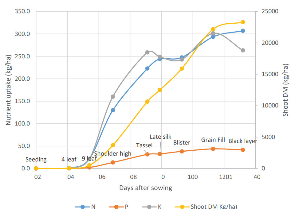Line chart comparing vine height and leaf area over days after sowing, with multiple colored trend lines.