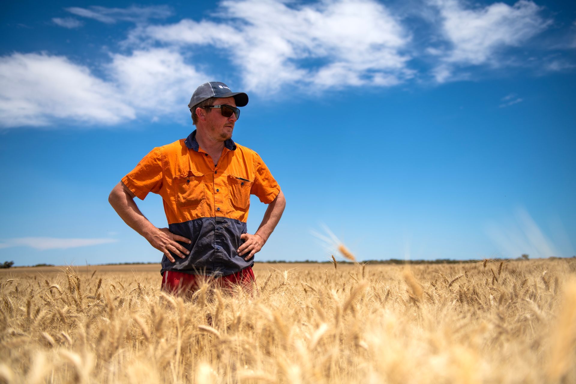 Person standing in a golden wheat field under a bright blue sky, wearing an orange shirt and sunglasses