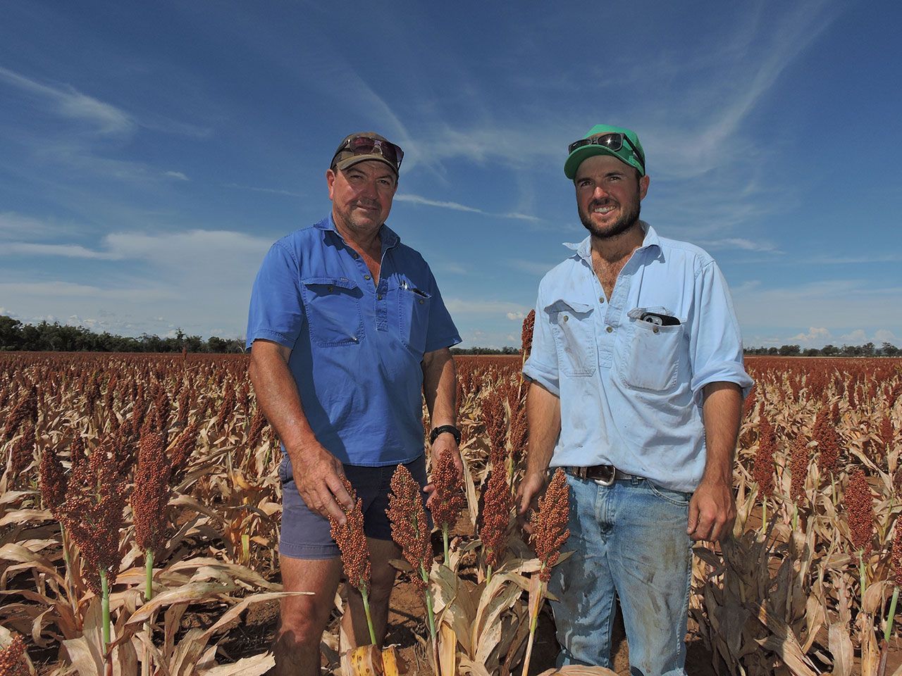 Two men standing in a dry field of reddish crops under a blue sky, smiling at the camera