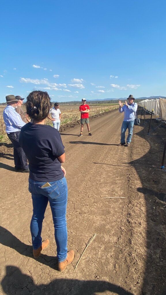 People standing on a dirt road in a rural area under a bright blue sky, one person in red centered ahead.