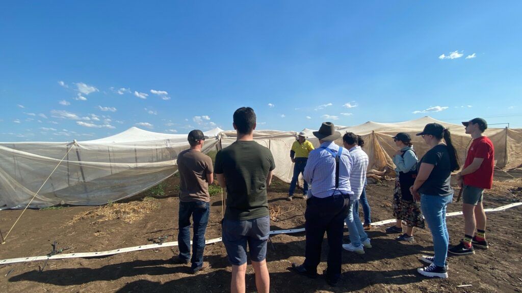 People gathered beside large white greenhouse tunnels in a sunny farm field.