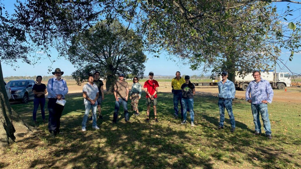 Group of people standing outdoors under trees in a grassy area on a sunny day