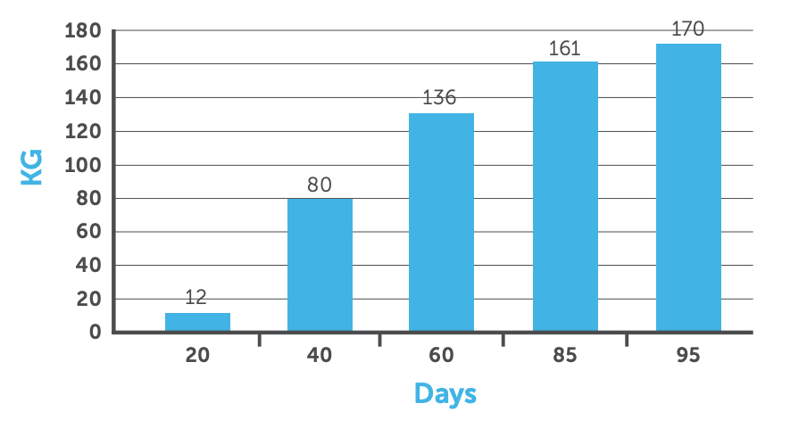 Blue bar chart of KG by days: 20, 40, 60, 85, and 95, with values rising from 18 to 170.