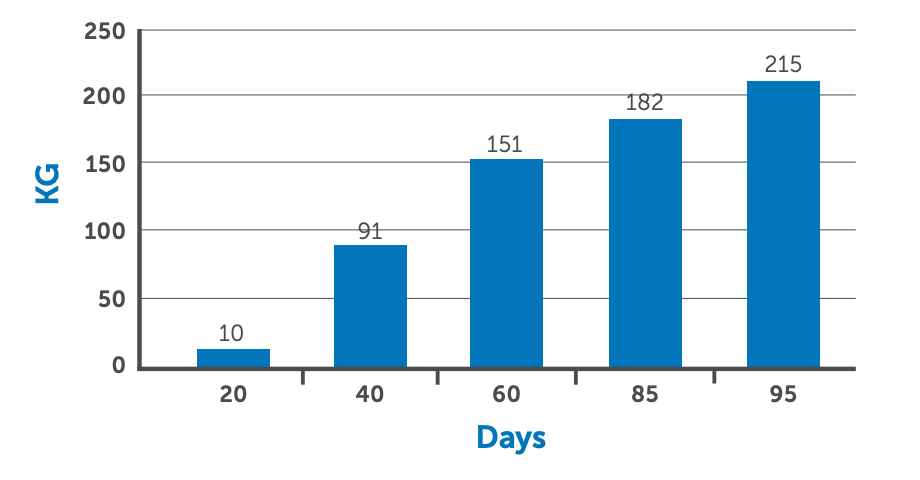 Blue bar chart of KG increasing across days 20, 40, 60, 85, and 95