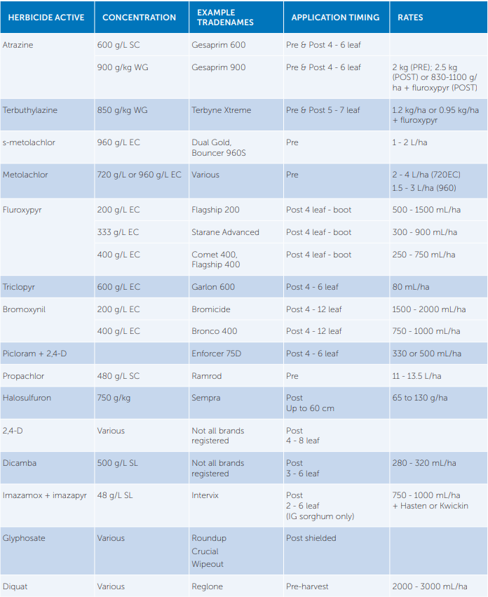 Blue-and-white medical dosage chart with rows of medications, concentrations, example doses, and notes