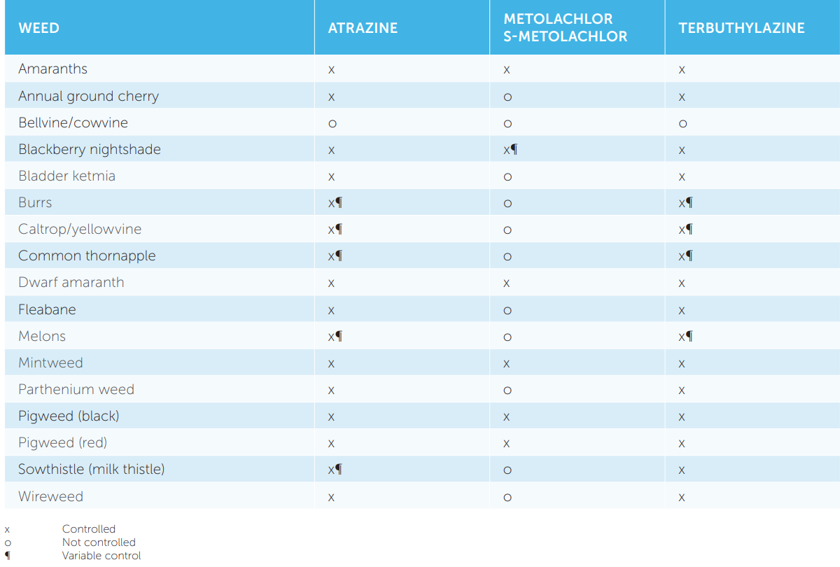 Blue-and-white table with categories and checkmarks, likely a skills or coverage matrix.