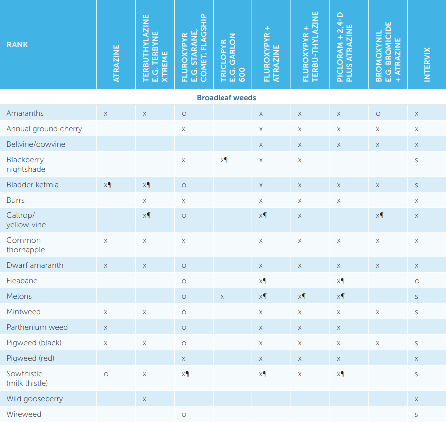 Blue table comparing bread/wheat varieties across nutrient and pest resistance categories
