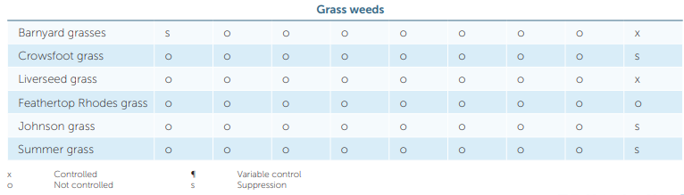 Blue-and-white spreadsheet chart titled “Cross words” with rows of names and numeric values.