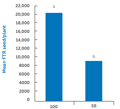 Bar chart of mean FT seed/plant: 100 is about 20,000, 50 is about 9,000, with letters a and b above bars