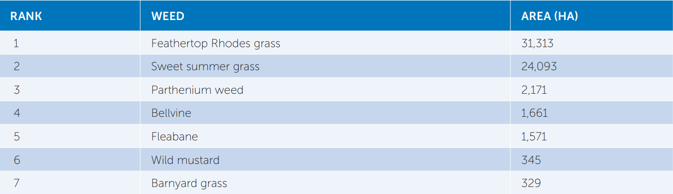 Blue table listing ranked items with names and scores in alternating light rows.